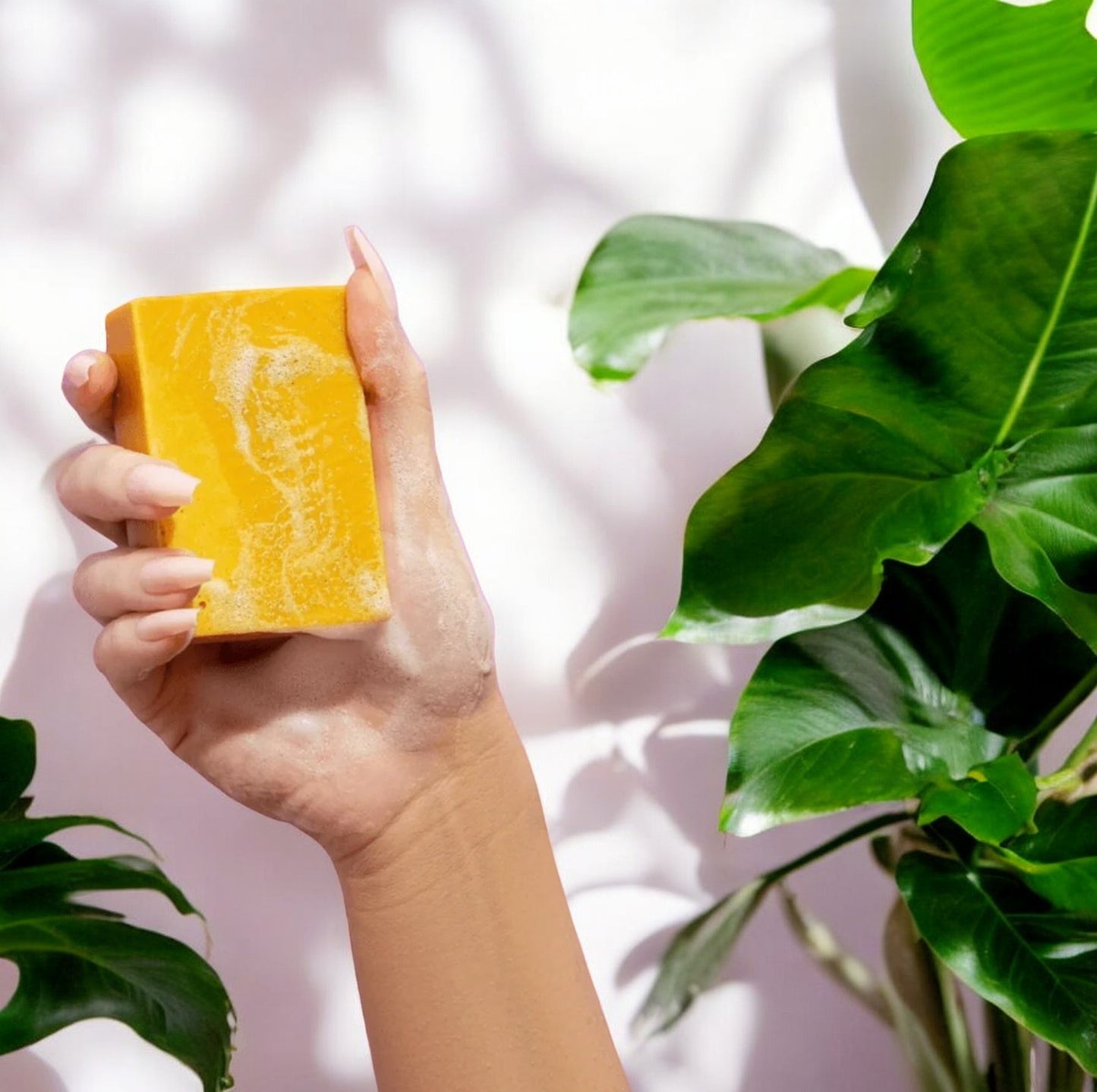 Turmeric Kojic Honey Brighten & Glow Soap